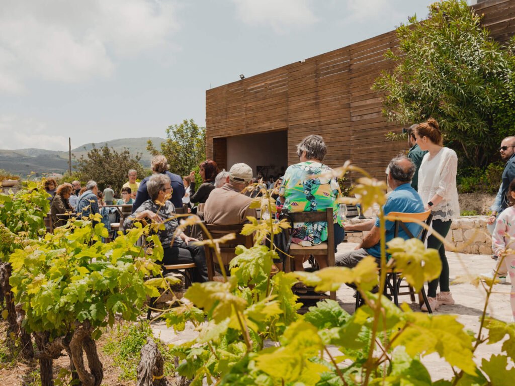 vineyard visit 2